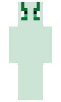 970b2e2fb6721e minecraft skin