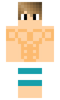 BlackS7allion minecraft skin