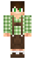 PayWithBitcoin minecraft skin