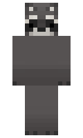 FINKIL minecraft skin