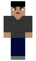 9746fcea255617 minecraft skin