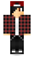 Vansik minecraft skin