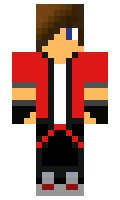 TN1000 minecraft skin