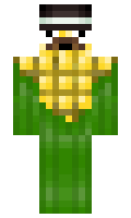 Nolifer minecraft skin