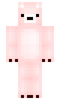 MaciejJerzyn minecraft skin