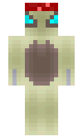 9811457ed6df4b minecraft skin