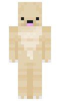 PoloDololo minecraft skin