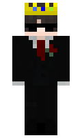 proster14 minecraft skin