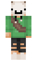 SkateAlert minecraft skin