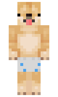 passsway minecraft skin