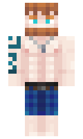 98612ffda8e881 minecraft skin