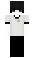 djsj minecraft skin