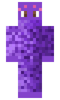 987a09ba519c6f minecraft skin