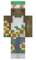 98882a859ccdf4 minecraft skin