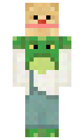 988d6fcc110894 minecraft skin