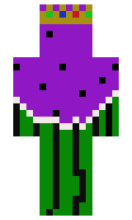 988e40b6440a33 minecraft skin
