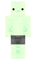 988f80259c20b9 minecraft skin