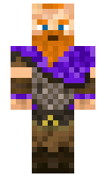 Apiin minecraft skin