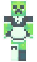 roooooooooooooo minecraft skin