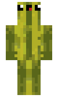 EtienneDUF minecraft skin