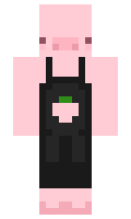 Hak1516 minecraft skin