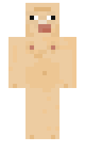 dapl1320 minecraft skin