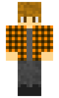 epter minecraft skin