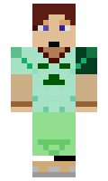 1415 minecraft skin