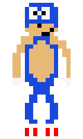 sanic3337 minecraft skin