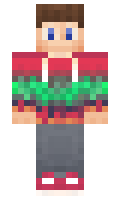 99004cb6e14cef minecraft skin