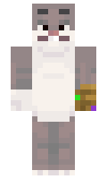 nevasca minecraft skin