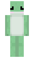 9922293d449d19 minecraft skin