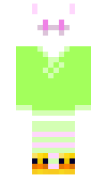 993dd31babe507 minecraft skin