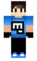 mrcot minecraft skin