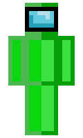 To4stedCh1cken minecraft skin