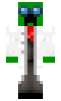 99bef90c5aef46 minecraft skin