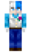 ehi minecraft skin