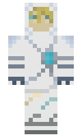 TGV22du02 minecraft skin