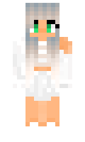 brisiegelflugg minecraft skin