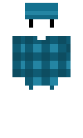 Acrewood minecraft skin