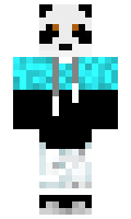 MaxCoolGuy minecraft skin