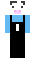 hyperhamish minecraft skin