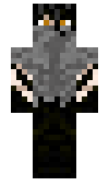 Coinsage minecraft skin