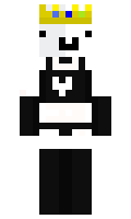 Qssh minecraft skin