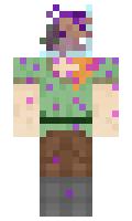 9a4fc8370bdcca minecraft skin