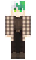 9a5b1d4d18bb14 minecraft skin