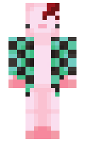 brock5577 minecraft skin