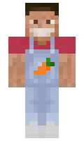 9a698bec7eb2e1 minecraft skin