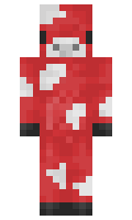 9ab5136cd33d61 minecraft skin