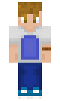 Pudar minecraft skin